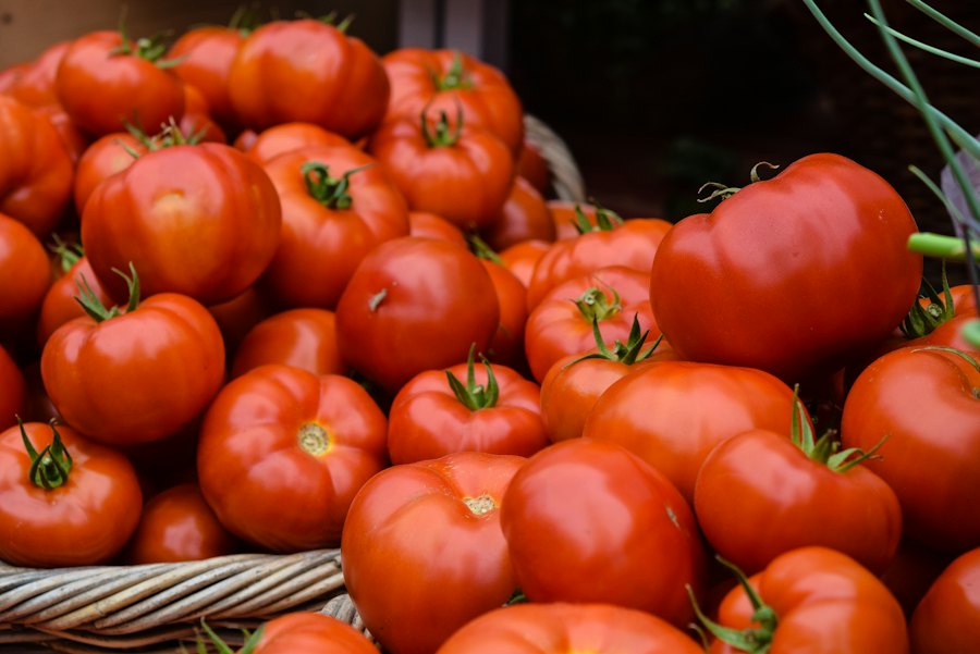 A basket of ripe tomatoes