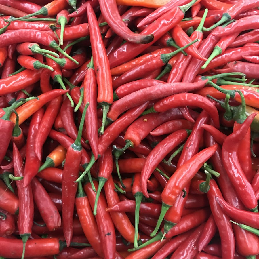 A pile of fresh hot peppers