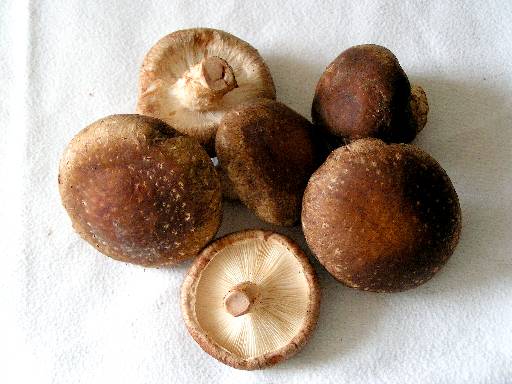 Shiitake mushrooms